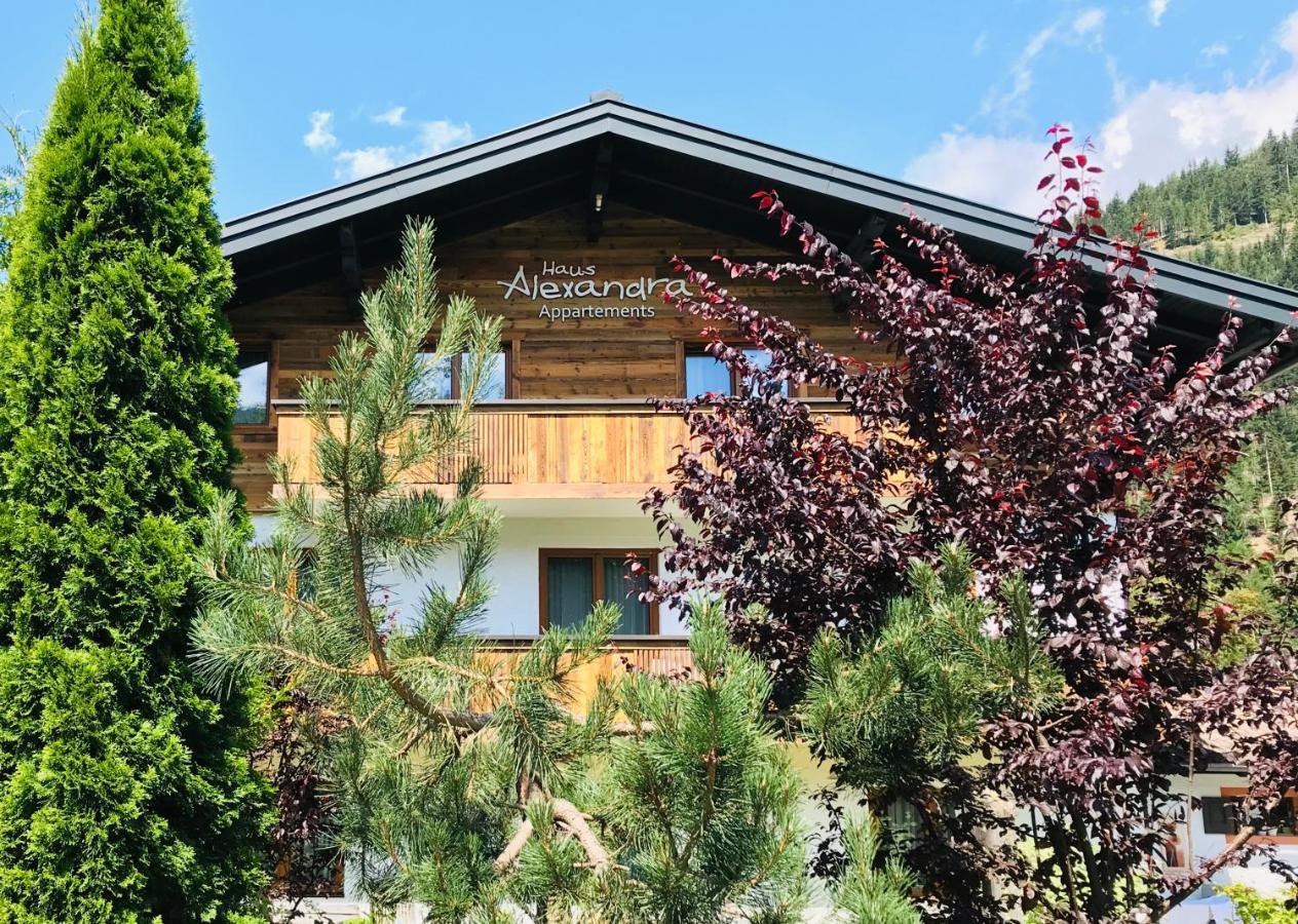 Haus Alexandra Daire Werfenweng Dış mekan fotoğraf