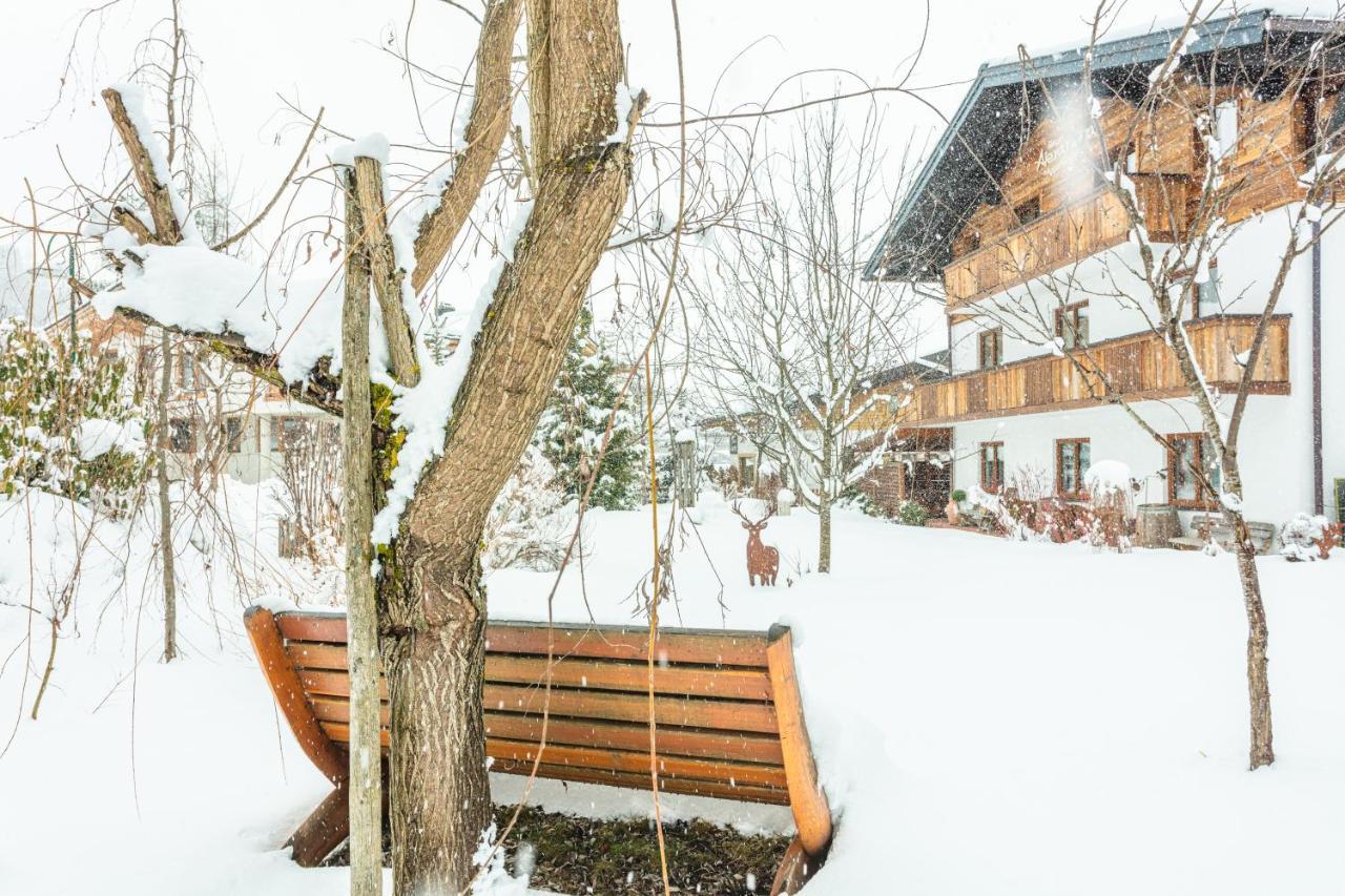 Haus Alexandra Daire Werfenweng Dış mekan fotoğraf